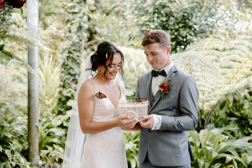 Monarch Butterfly release at Tui Hills wedding